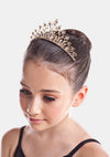 The Elsa Tiara